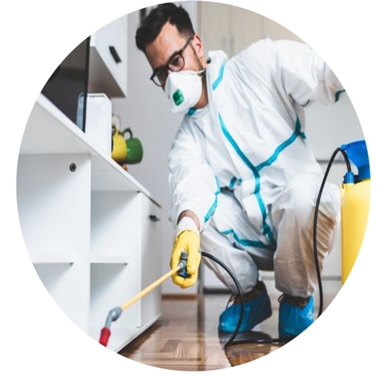 Sorna Valli Pest Control cover