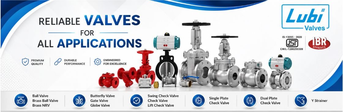 Lubi Valves cover